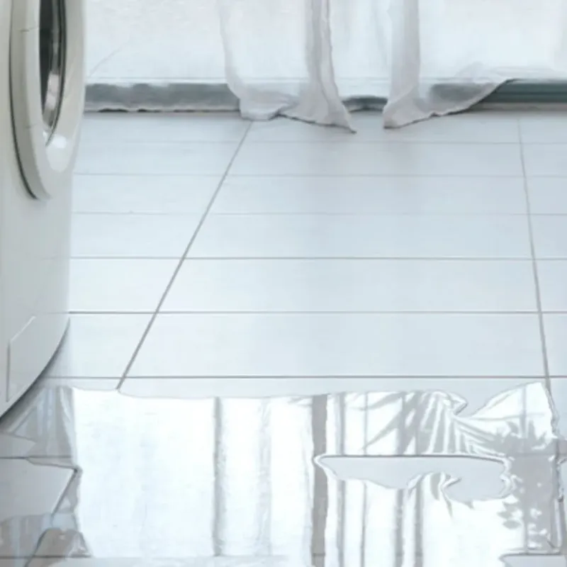 Appliance Leak Cleanup in Marshall, MO