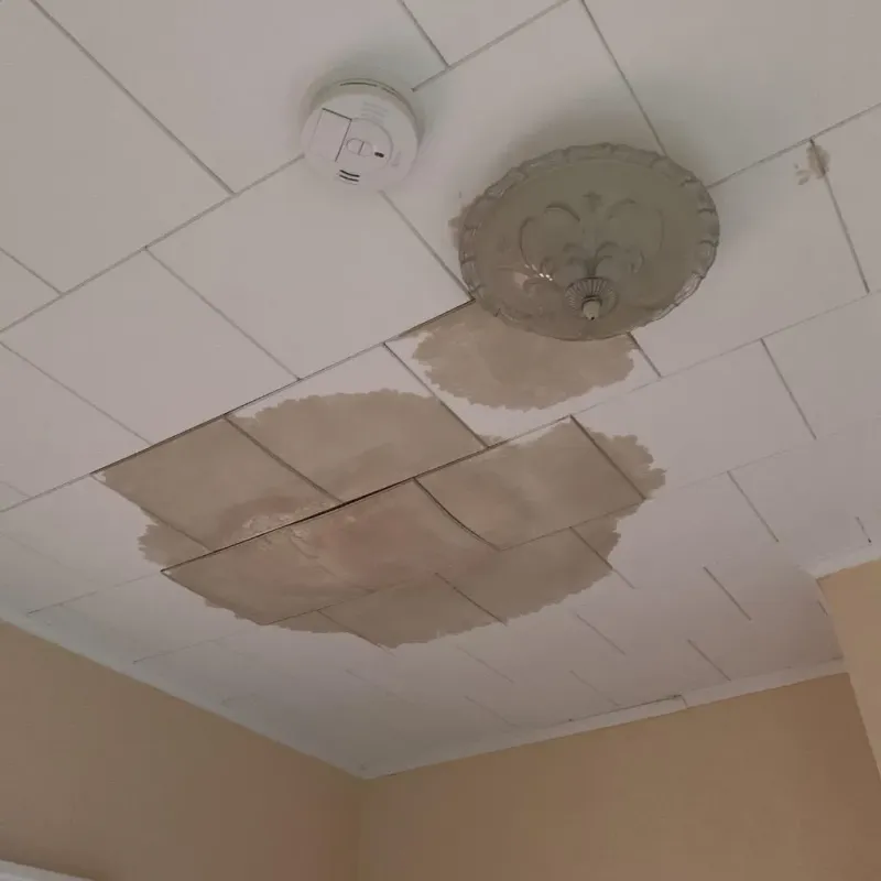 Ceiling Water Damage Repair in Marshall, MO