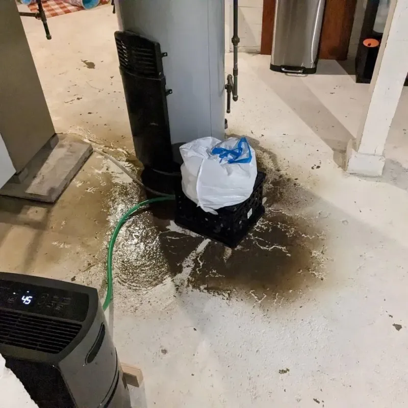 Sewage Backup Cleanup Service in Marshall, MO